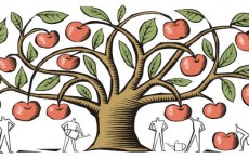 QMiniFund,以私募基金为标的的P2P