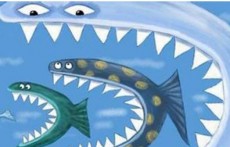 传美团将以数千万美元全资收购酷讯